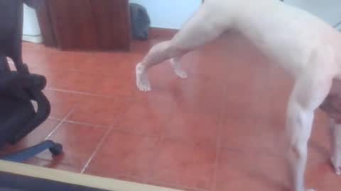 Snapshot of peter_coat chatting on July 2026 12:40:02 PM peter_coat online show from July 2026 12:40:02 PM