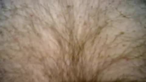 peterpeteropoulos online show from February 2025 07:37:02 PM