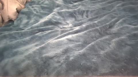 Little cupcake online show from February 2025 02:59:01 AM