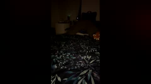 PetiteCurves online show from February 2026 11:33:01 PM