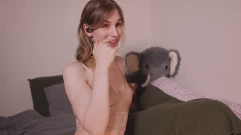 caracal online show from October 2025 12:20:01 AM