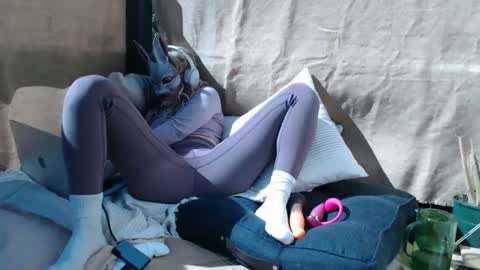 petitegirlypop online show from October 2025 11:57:01 PM