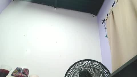 danna online show from January 2025 04:28:02 AM