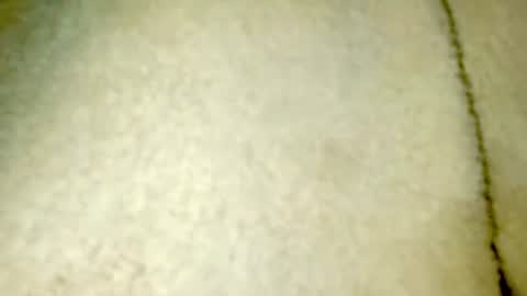 danna online show from August 2026 03:10:01 AM