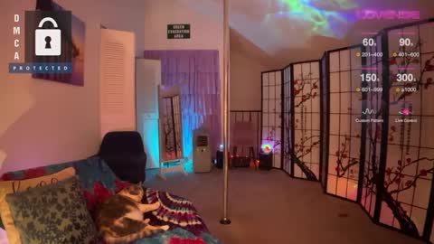 Snapshot of petitejewel chatting on December 2024 09:17:02 AM Jules online show from December 2024 09:17:02 AM