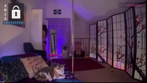 Snapshot of petitejewel chatting on January 2025 10:50:01 AM Jules online show from January 2025 10:50:01 AM