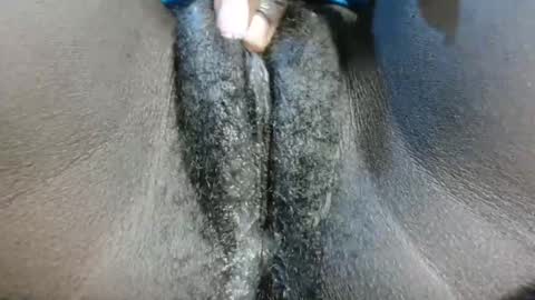 petiteme1 online show from January 2025 08:21:02 PM