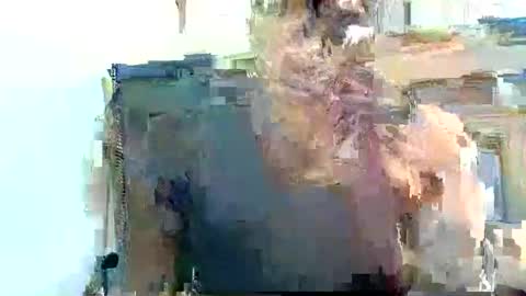 Pfani online show from April 2026 12:15:02 PM