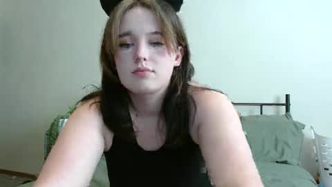 Snapshot of pheebs_cams chatting on November 2025 08:30:01 PM Pheebs online show from November 2025 08:30:01 PM
