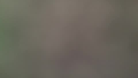 Its always better when its forbidden online show from April 2026 08:07:01 PM