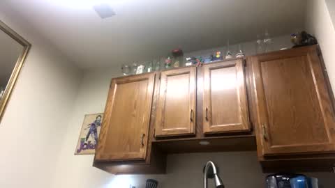 Phil online show from February 2025 02:38:01 AM