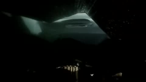 phillipdee online show from November 2025 09:21:01 AM