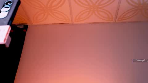 Snapshot of piafisher_2 chatting on April 2026 07:45:01 AM Piafisher 2 online show from April 2026 07:45:01 AM