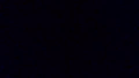 pickledalivemrf online show from February 2026 03:46:02 AM