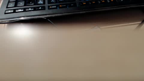 pier49x online show from December 2024 11:46:02 PM