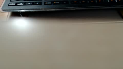 pier49x online show from December 2024 04:48:02 PM