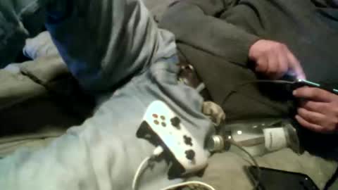 Pierke online show from January 2026 12:57:02 AM