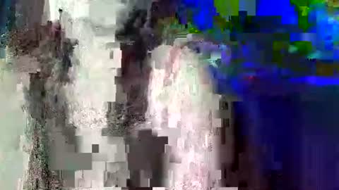 Snapshot of pinayhot_carol chatting on June 2026 03:01:02 PM Carol online show from June 2026 03:01:02 PM