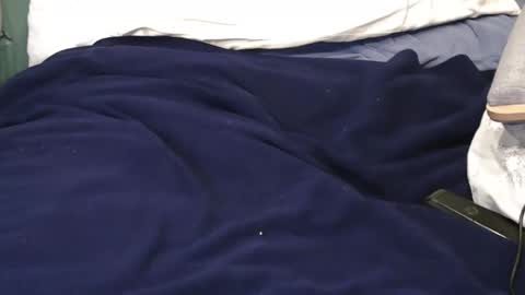 pinewoodman online show from October 2025 02:34:01 AM