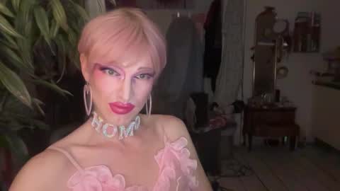 pinkfag online show from February 2026 03:08:01 PM