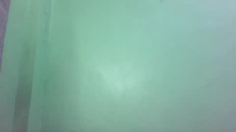 Snapshot of pinkish_shine chatting on February 2025 04:21:01 PM Hi its me shine online show from February 2025 04:21:01 PM