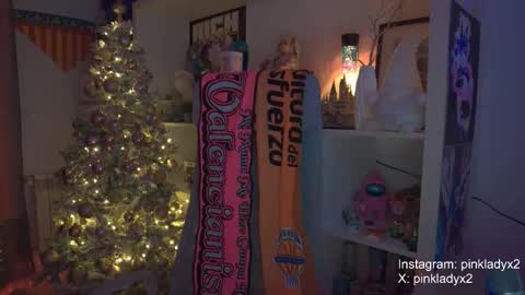 Snapshot of pinkladyx2 chatting on November 2025 12:20:01 AM pinkladyx2 online show from November 2025 12:20:01 AM