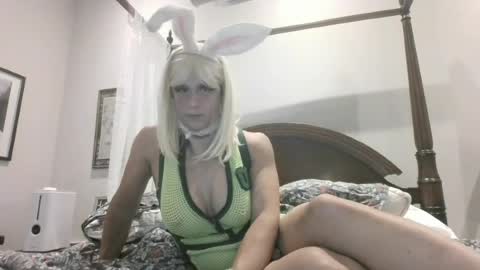 pinkpillbambi online show from August 2026 03:05:01 AM