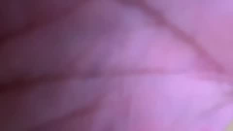 pistolpete9891 online show from January 2025 08:42:01 PM