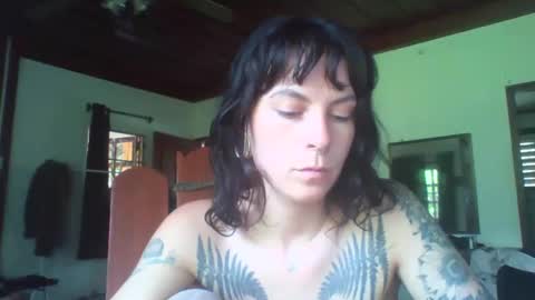 pixiecatfairy online show from November 2025 06:24:02 AM