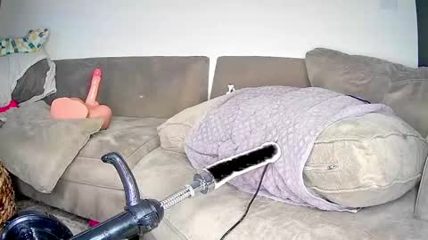 PeggedBiGuy online show from April 2026 09:23:02 AM