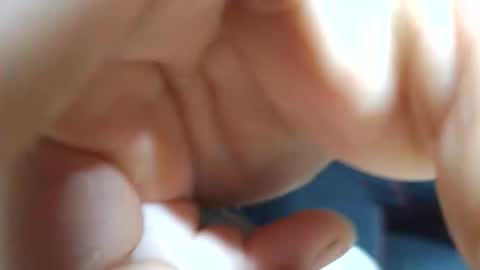 planta722 online show from April 2026 07:28:01 AM