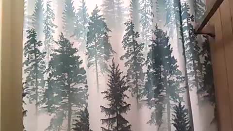 SEX ADDICTION WANNA MEET online show from December 2024 02:37:02 AM