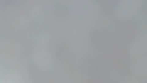 playboypetit online show from January 2025 12:51:02 AM