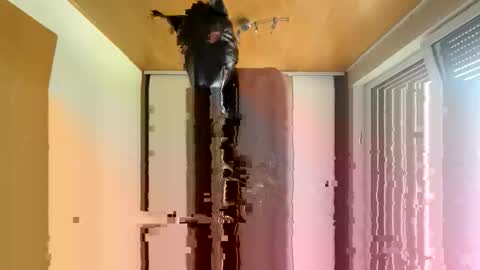 playdog123 online show from October 2025 01:21:01 PM