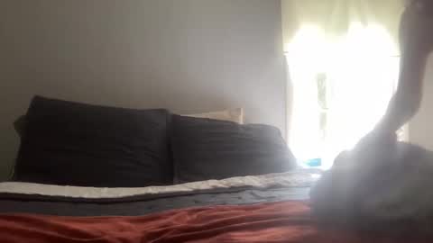 playfulpork online show from April 2026 09:18:02 PM