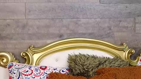 PlayfulSamy online show from December 2024 10:02:02 AM