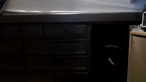 pleasantdinosaurus7537 online show from November 2025 01:00:02 AM