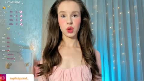 Snapshot of plusvibe chatting on January 2025 04:30:02 PM Sophie online show from January 2025 04:30:02 PM