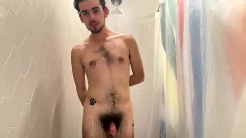 Pluto The Pup online show from November 2025 08:46:02 PM