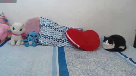 Pocahontas online show from October 2025 04:20:02 PM