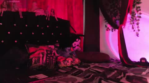  Luna  online show from February 2026 12:47:02 PM