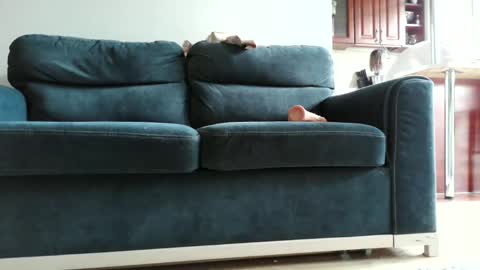 pokusss online show from January 2026 01:05:01 PM