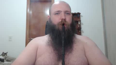 Bear online show from February 2025 03:58:01 AM