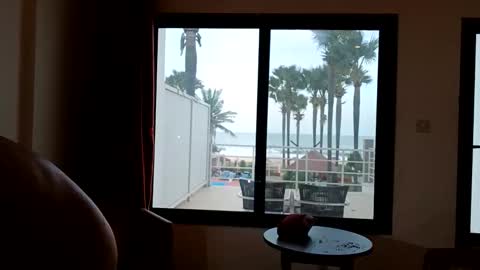 Snapshot of pollexxx66 chatting on December 2025 07:57:02 AM Paul online show from December 2025 07:57:02 AM