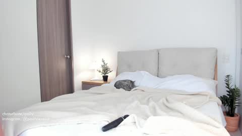 Polly online show from January 2025 09:31:01 PM