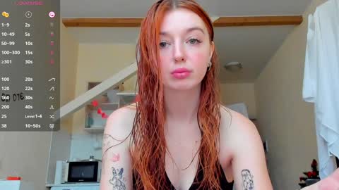 Polly online show from December 2024 12:19:02 PM