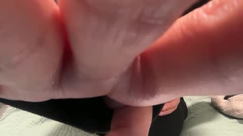 Polly Pocket online show from November 2025 02:10:02 AM