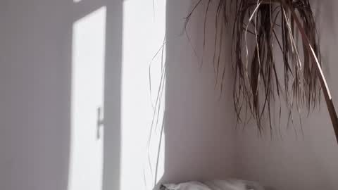 Polina online show from October 2025 06:27:02 AM