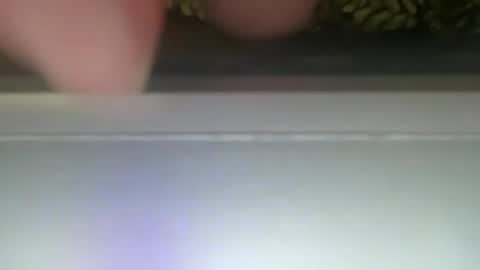 PONCH online show from December 2024 12:31:01 PM