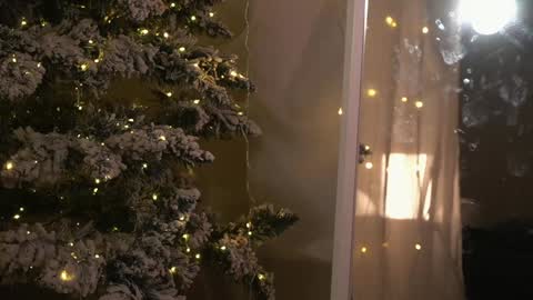    online show from December 2024 09:04:02 PM